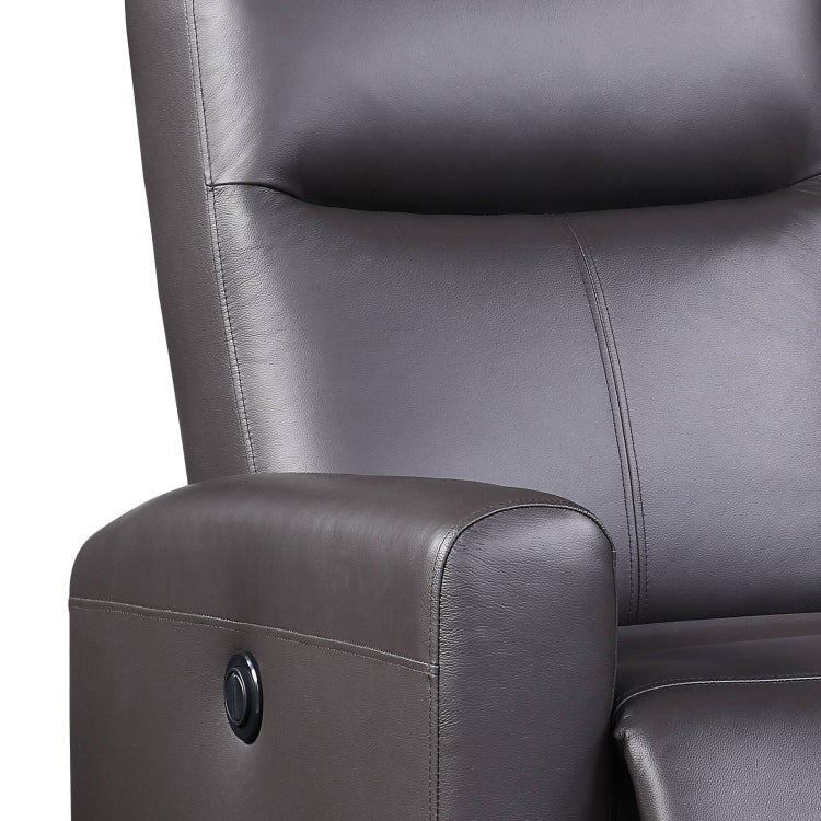Blane Brown Top Grain Leather Match Power Motion Recliner