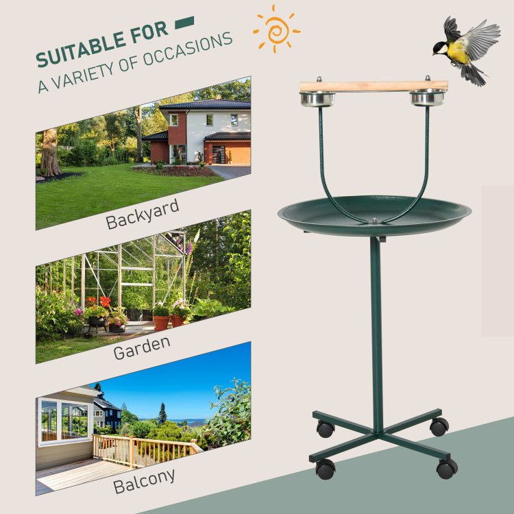 Bird Training Activity Playground With