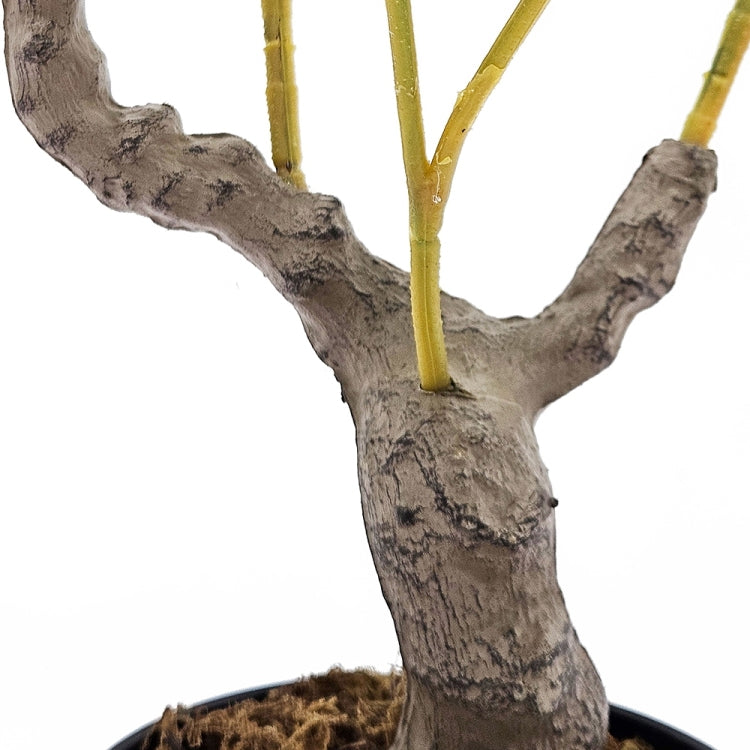 12X12X31.5"H Artificial Peva Lemon Tree With Lifelike Greenery And Black Plastic Pot