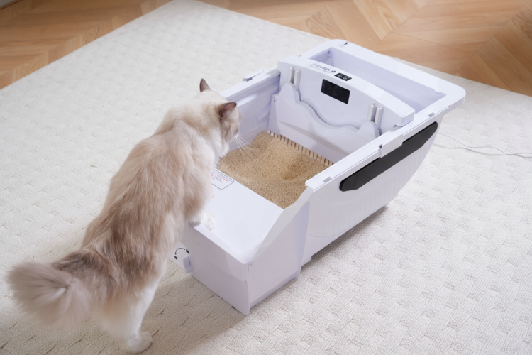 Smart Cat Litter Box Cat Litter Box Wide Opening With Hood