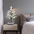 2Ft Flocked Christmas Tree With Pot Base, 30 Warm White Led Lights, 189 Tips, Pe Pvc Branches With 3 Pine Cones Small Prelit Holiday Tree For Tabletop, Entryway, Or Home Decor